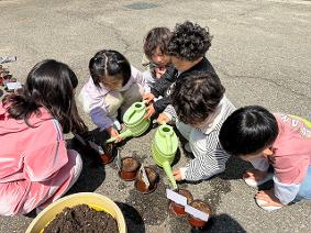 유초이음교육, 사전활동-이음친구, 튤립화분심기로 마음을 나눠요.